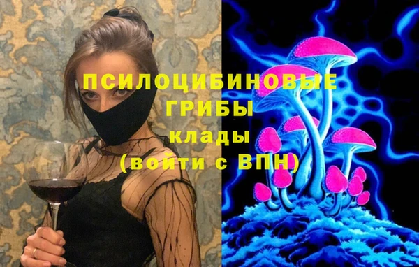 ГАЛЛЮЦИНОГЕННЫЕ ГРИБЫ Надым