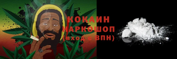 ГАЛЛЮЦИНОГЕННЫЕ ГРИБЫ Надым