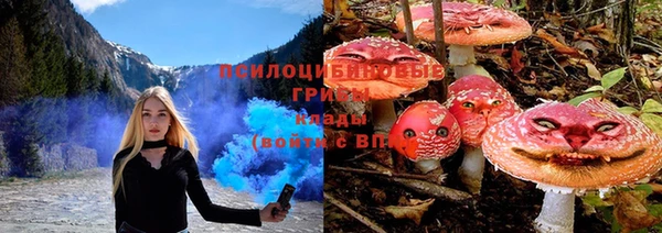 ГАЛЛЮЦИНОГЕННЫЕ ГРИБЫ Надым