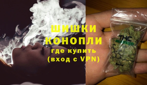 ГАЛЛЮЦИНОГЕННЫЕ ГРИБЫ Надым