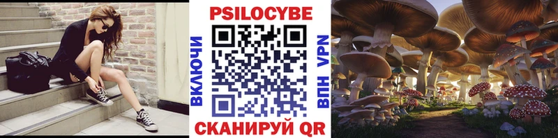 Псилоцибиновые грибы MAGIC MUSHROOMS  Купить закладки  Инсар 